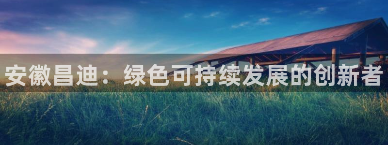 安徽昌迪：绿色可持续发展的创新者