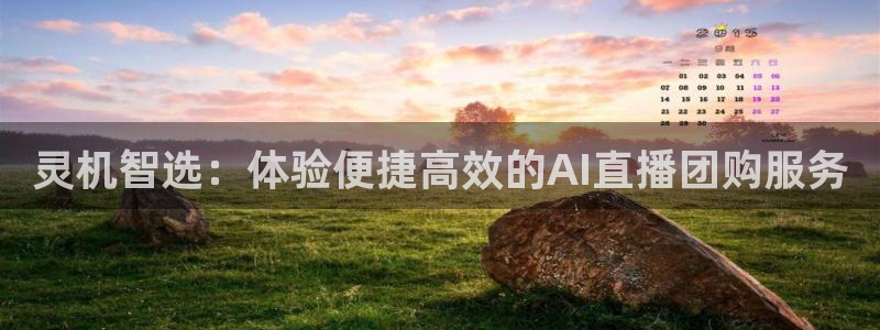 灵机智选：体验便捷高效的AI直播团购服务