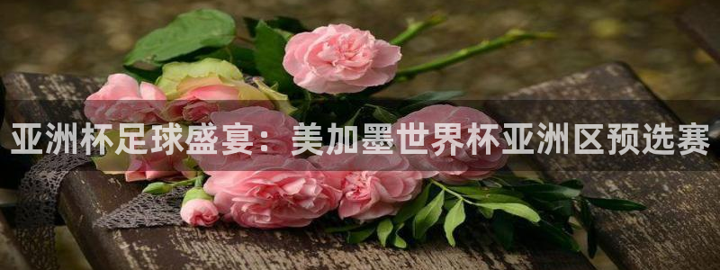 亚洲杯足球盛宴：美加墨世界杯亚洲区预选赛
